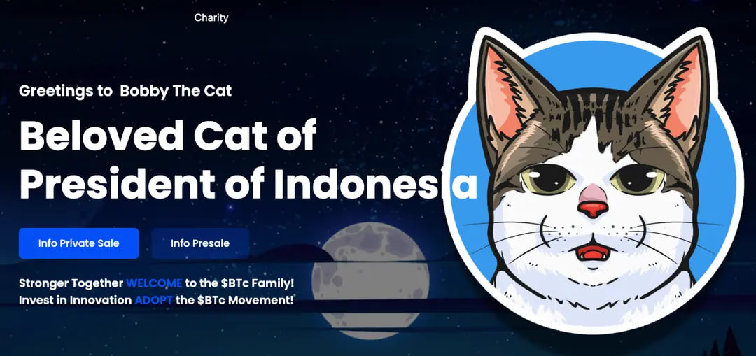 Bobby The Cat (BTC): Meme Coin Lokal dengan Misi Sosial dan Teknologi Solana